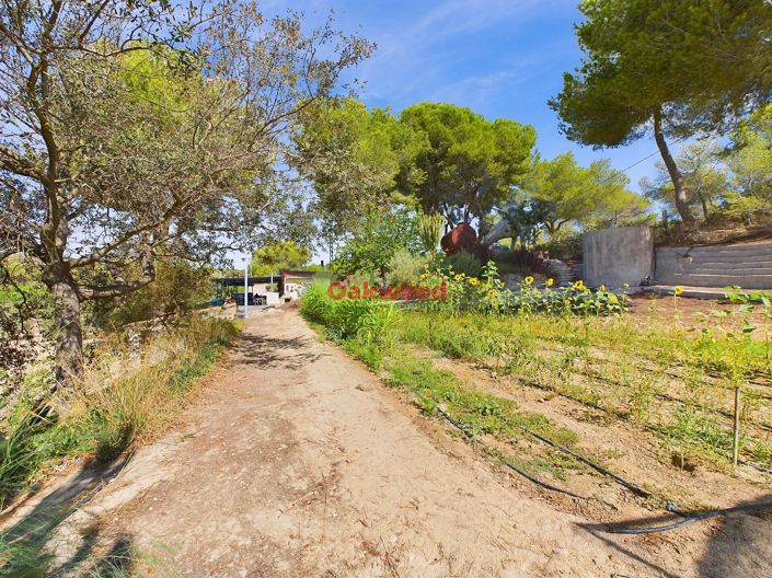 Image No.22-1 Bed Country House for sale