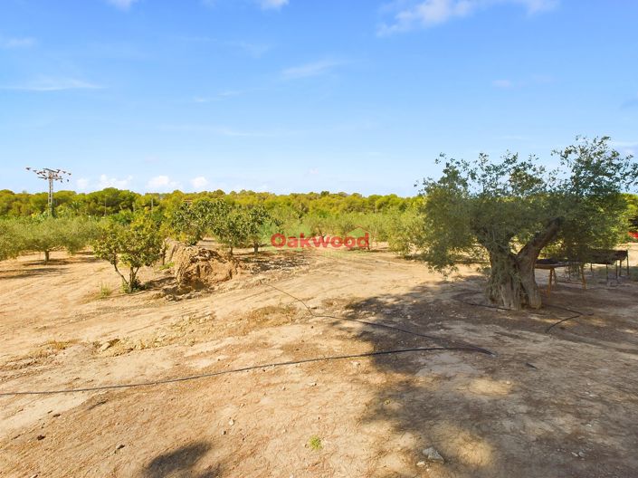 Image No.23-1 Bed Country House for sale