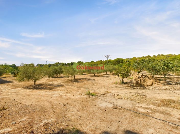 Image No.24-1 Bed Country House for sale