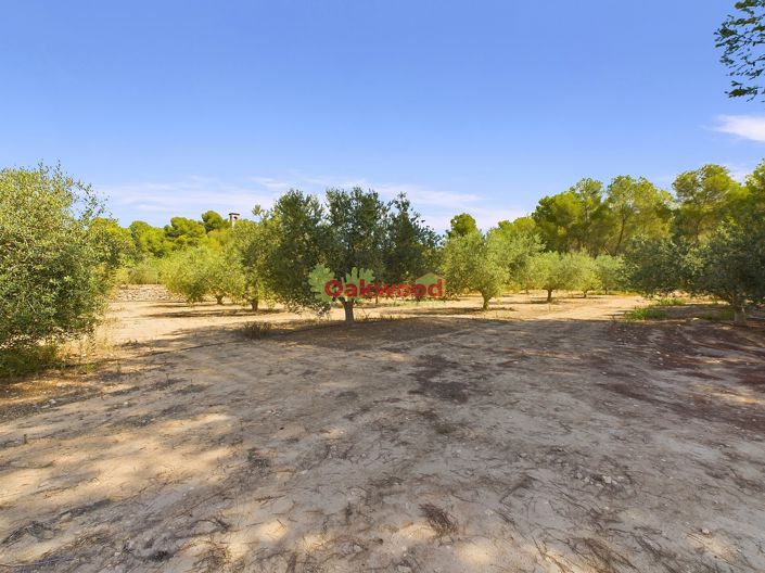 Image No.25-1 Bed Country House for sale