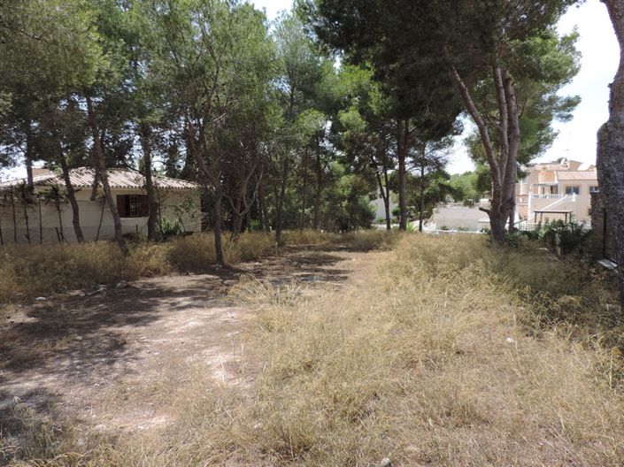 Image No.2-Land for sale