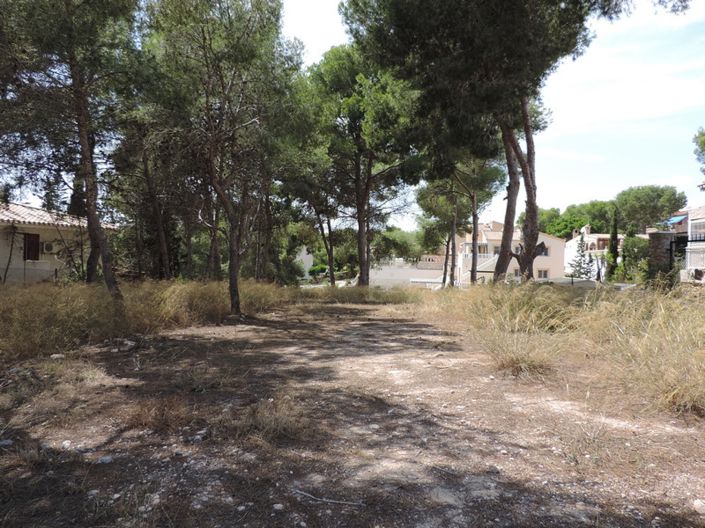 Image No.3-Land for sale