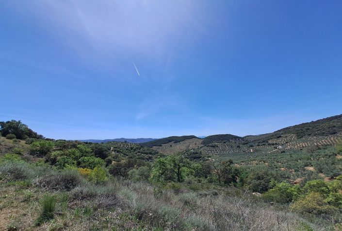 Image No.4-4 Bed Villa for sale