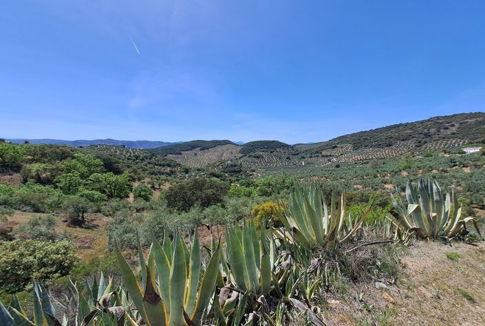 Image No.20-4 Bed Villa for sale