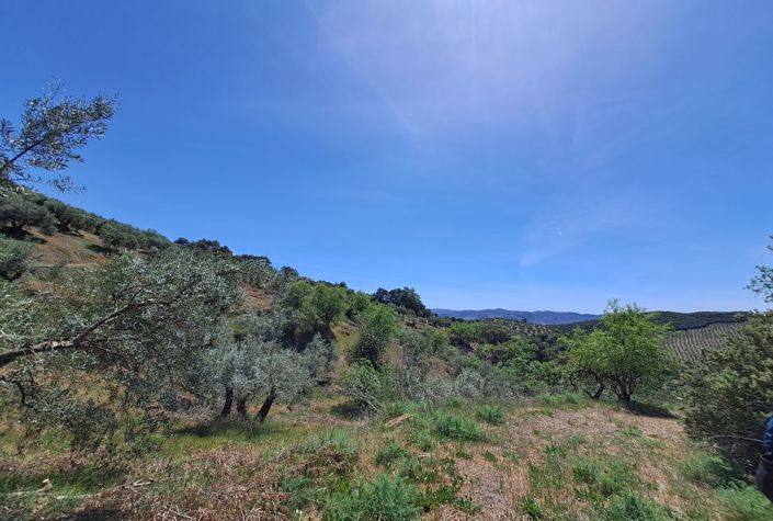 Image No.21-4 Bed Villa for sale