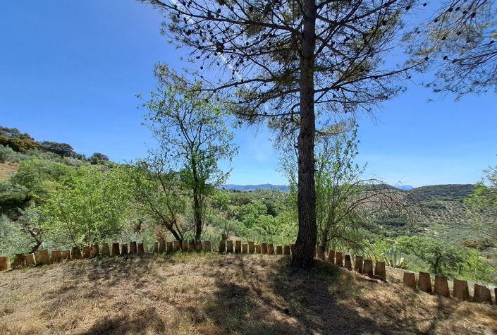 Image No.24-4 Bed Villa for sale