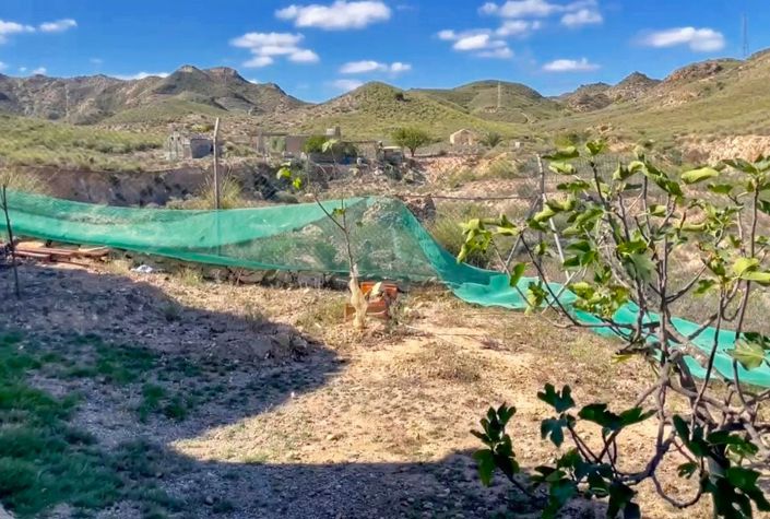 Image No.18-Country House for sale