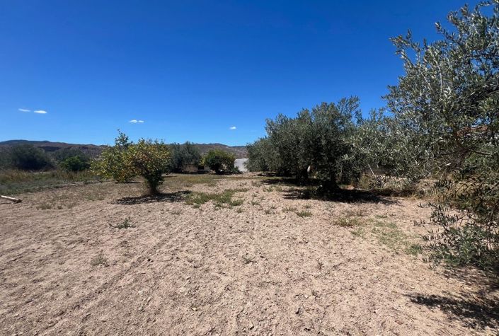 Image No.24-7 Bed Country House for sale