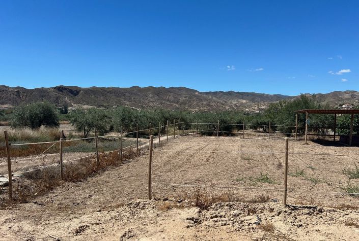 Image No.25-7 Bed Country House for sale