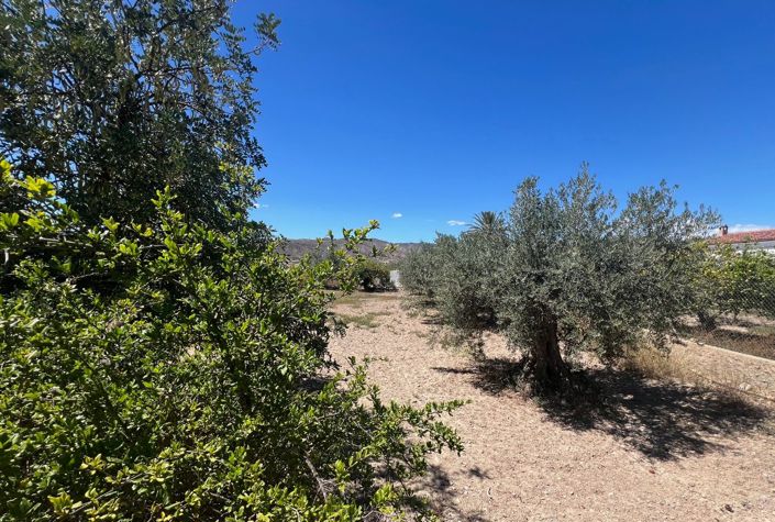 Image No.27-7 Bed Country House for sale