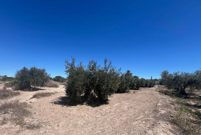 Image No.7-7 Bed Country House for sale