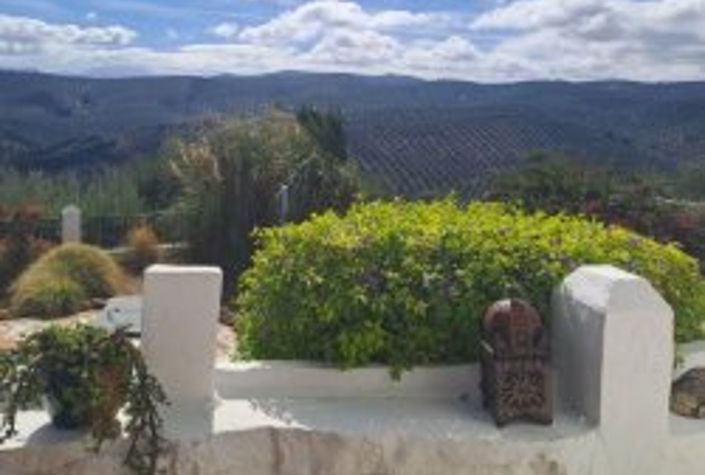 Image No.10-4 Bed Country House for sale