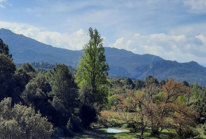 Image No.12-6 Bed Country House for sale