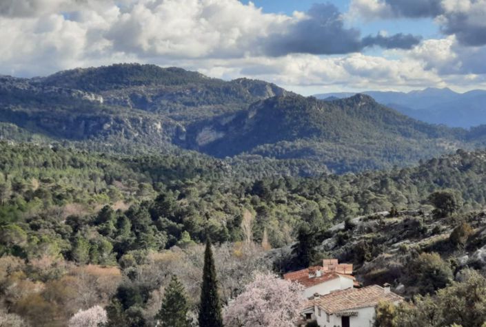 Image No.18-6 Bed Country House for sale