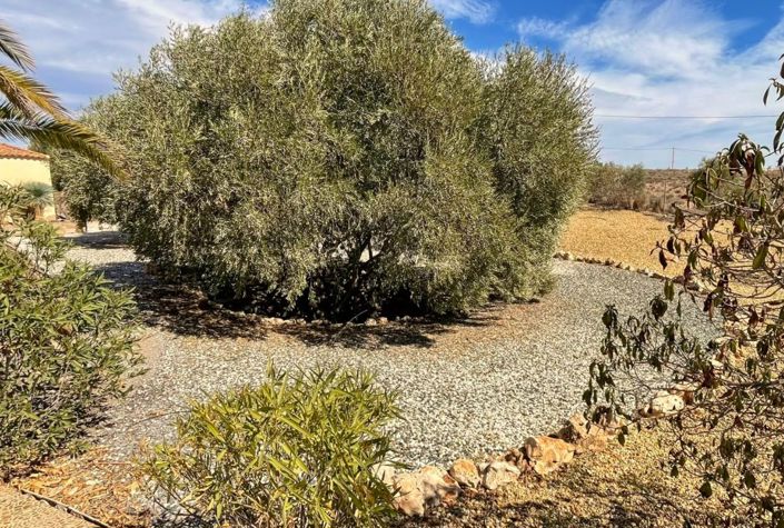 Image No.35-3 Bed Villa for sale