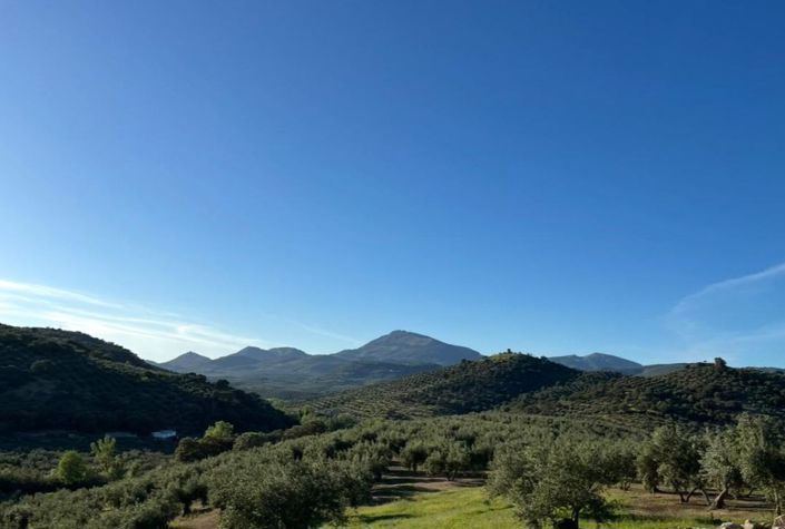 Image No.38-4 Bed Country House for sale