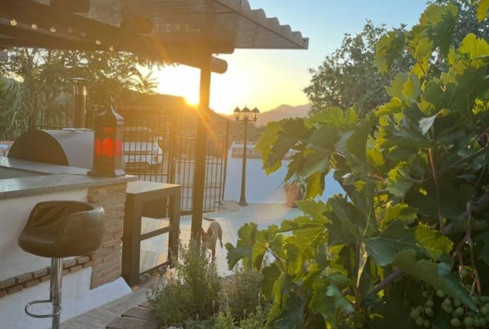 Image No.8-4 Bed Country House for sale