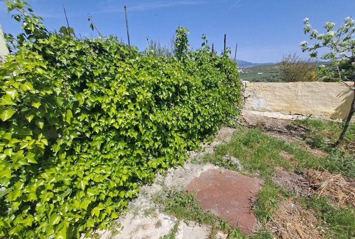 Image No.9-4 Bed Townhouse for sale