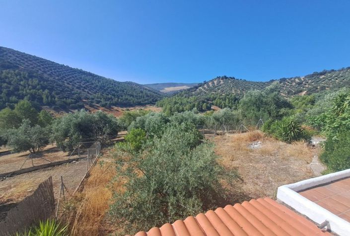 Image No.20-4 Bed Country House for sale