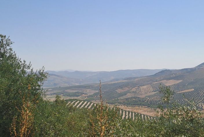 Image No.12-5 Bed Cottage for sale