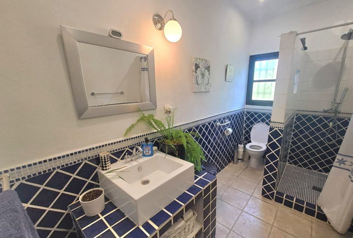 Image No.19-7 Bed Country House for sale