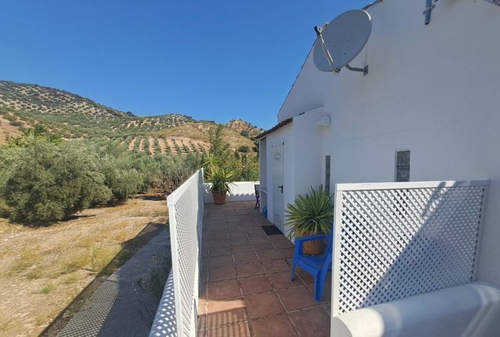 Image No.25-7 Bed Country House for sale