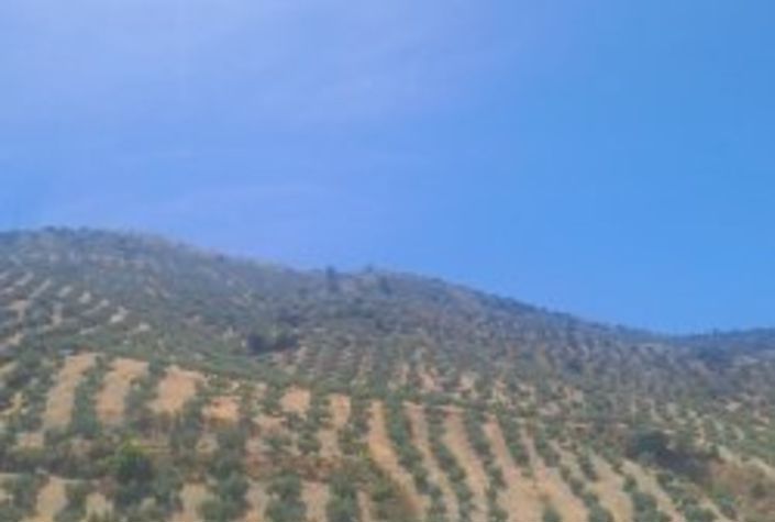 Image No.7-4 Bed Townhouse for sale