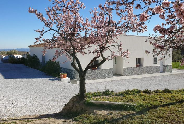 Image No.5-3 Bed Villa for sale