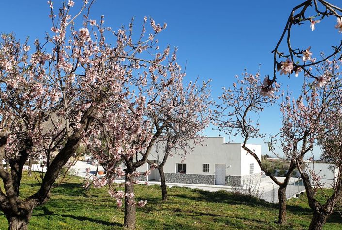 Image No.6-3 Bed Villa for sale