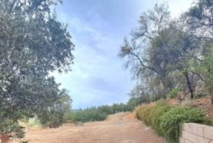 Image No.13-7 Bed Country House for sale