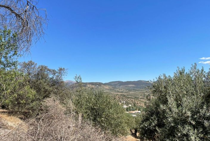 Image No.4-5 Bed Townhouse for sale