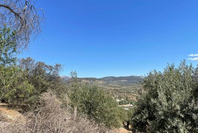 a1f1025e9b39b93286473a7fea9dbdc533858