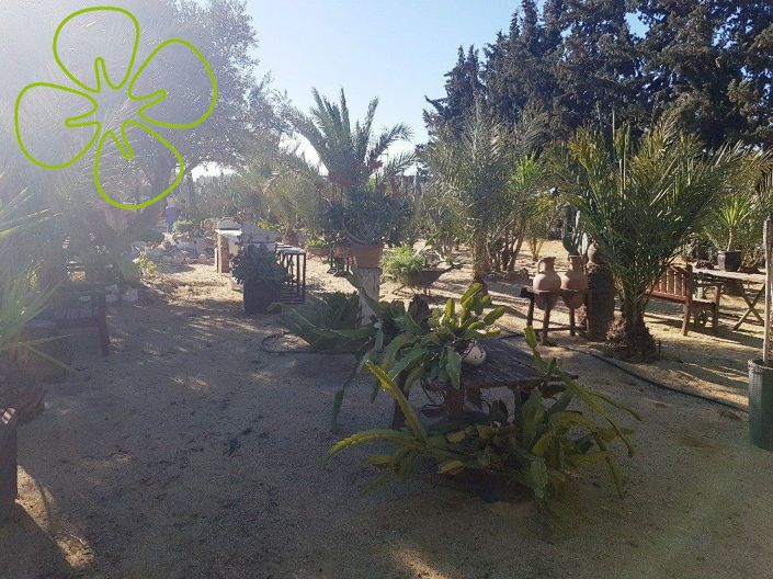 Image No.27-4 Bed Cortijo for sale