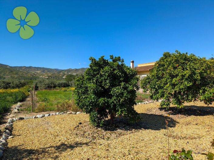 Image No.25-8 Bed Cortijo for sale