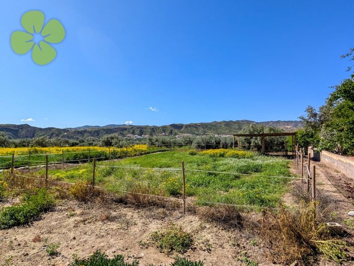 Image No.26-8 Bed Cortijo for sale