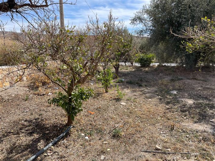 Image No.28-7 Bed Cortijo for sale