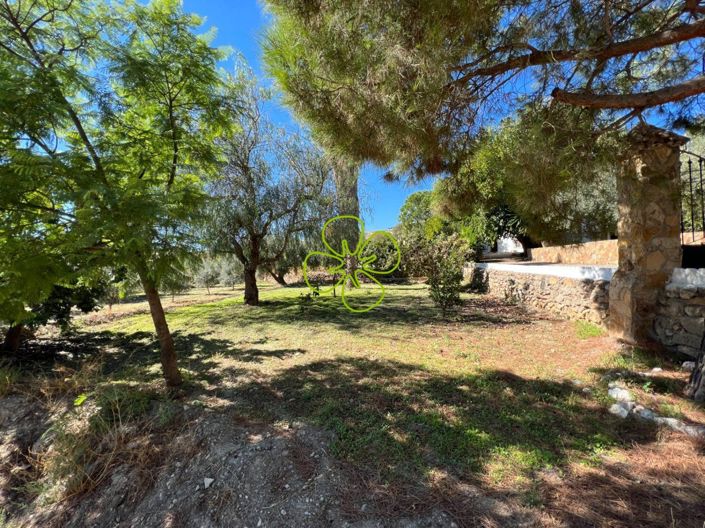 Image No.27-5 Bed Cortijo for sale