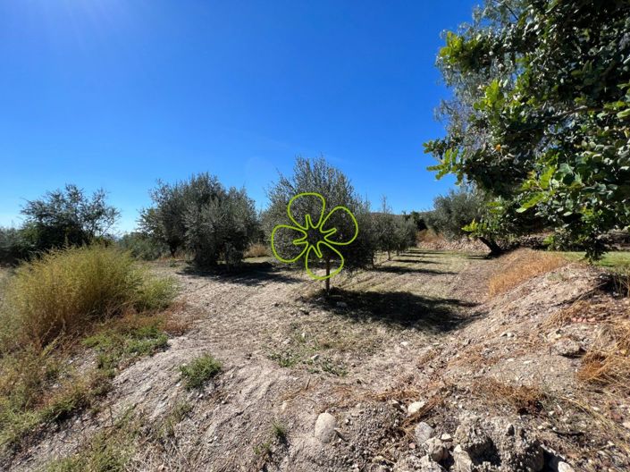 Image No.29-5 Bed Cortijo for sale