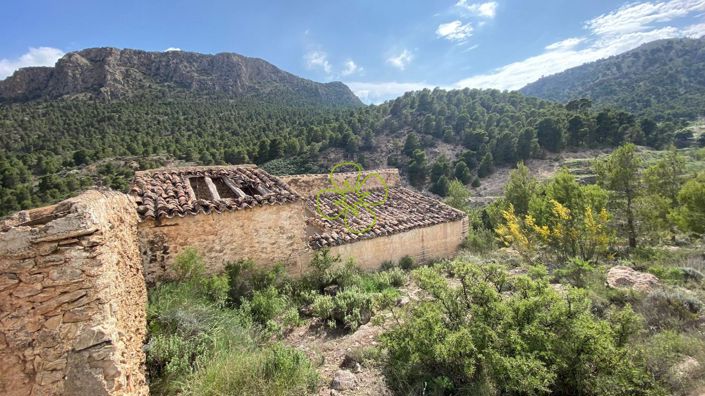 Image No.10-4 Bed Cortijo for sale