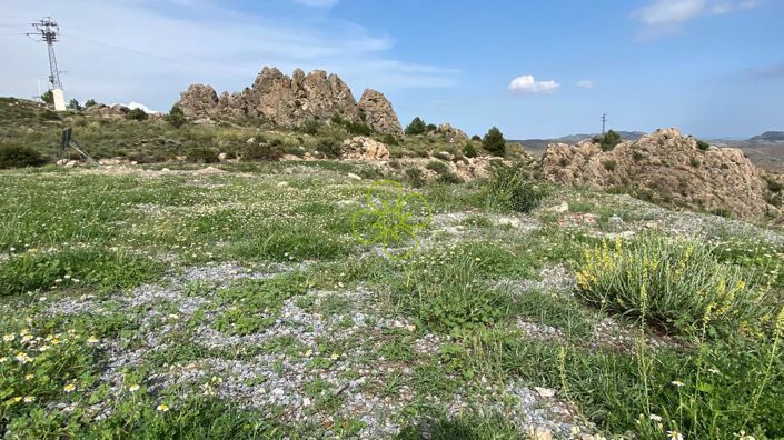 Image No.14-4 Bed Cortijo for sale