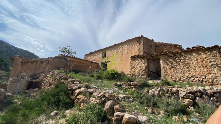 Image No.5-4 Bed Cortijo for sale