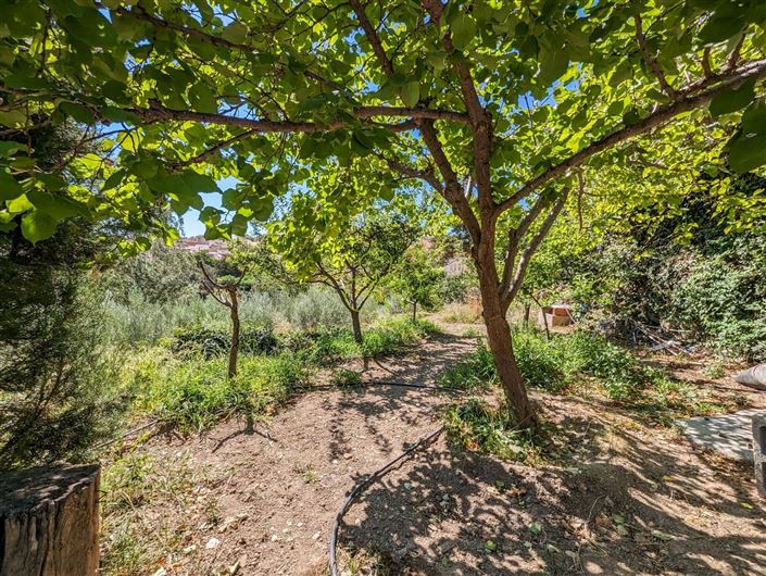 Image No.29-3 Bed Cortijo for sale