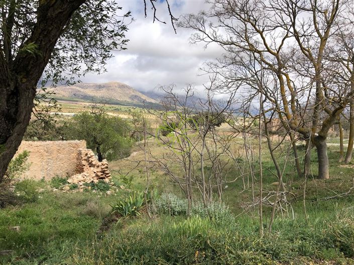 Image No.10-2 Bed Cortijo for sale