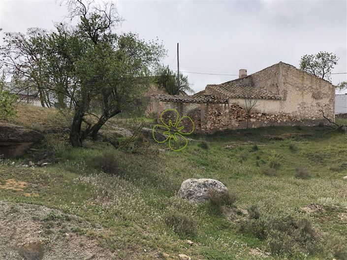 Image No.8-2 Bed Cortijo for sale