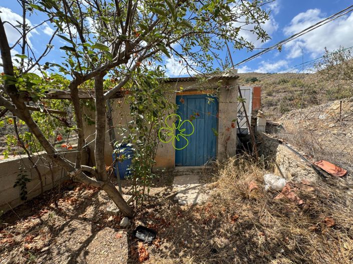 Image No.25-4 Bed Cortijo for sale