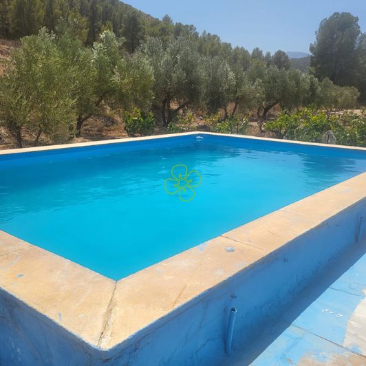 Image No.3-5 Bed Cortijo for sale
