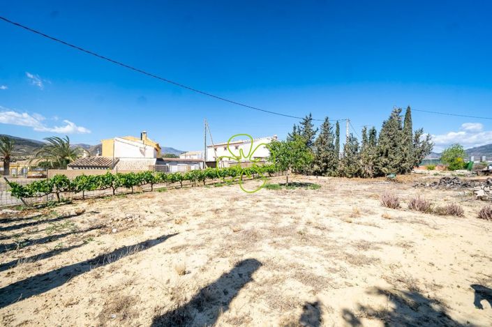 Image No.29-4 Bed Cortijo for sale