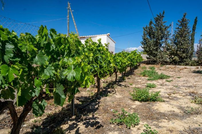 Image No.30-4 Bed Cortijo for sale