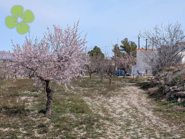 Image No.17-3 Bed Cortijo for sale