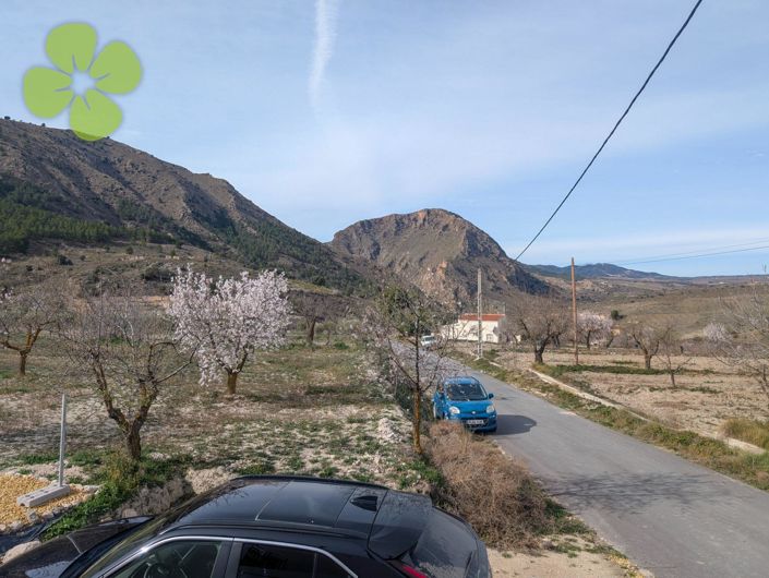 Image No.19-3 Bed Cortijo for sale